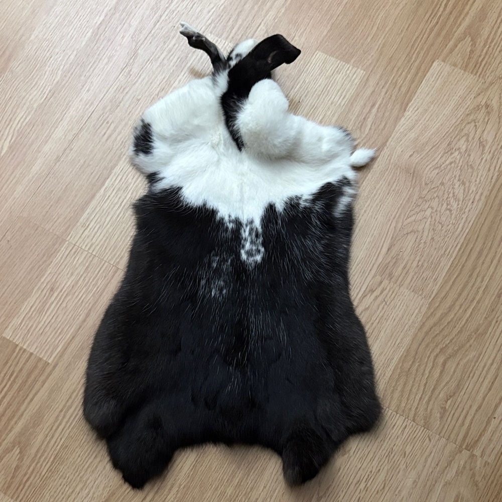 rabbit pelt with face